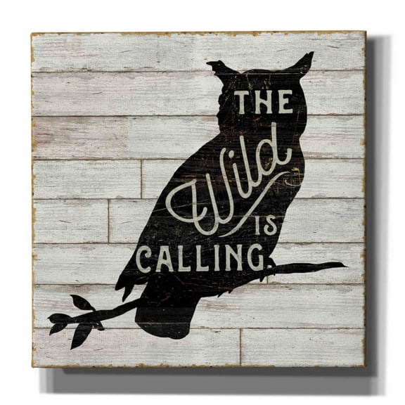 Epic Graffiti 'Lake Lodge III' by Sue Schlabach, Canvas Wall Art, 37"x37"