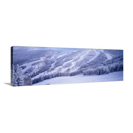 Great BIG Canvas Steamboat Ski Area in the Rocky Mountains Steamboat Springs Colorado Canvas Wall (Best Big Mountain Skis 2019)