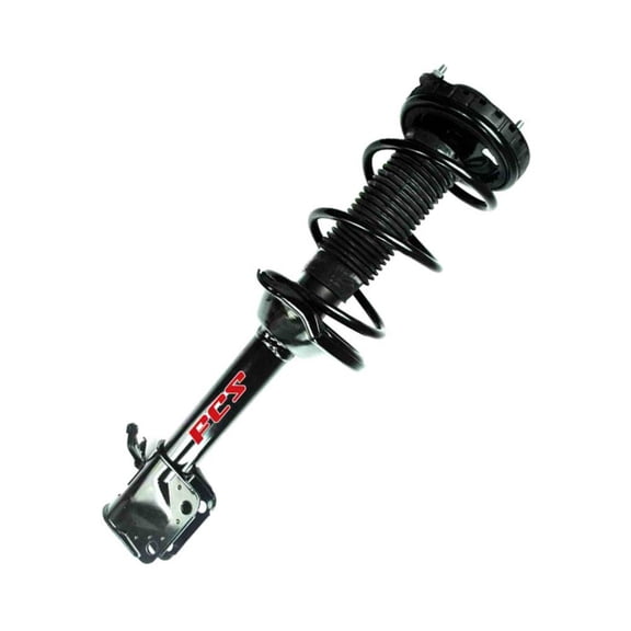 Suspension Strut and Coil Spring Assembly