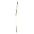 thumbnail image 1 of Hill Interiors Eremurus Stem Artificial Plant, 1 of 4