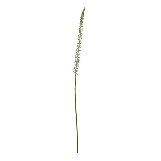 Hill Interiors Eremurus Stem Artificial Plant