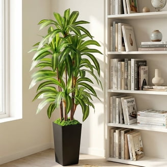 Sullivans Potted Ficus Tree - Lifelike Indoor Artificial Tree - Walmart.com