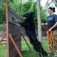 thumbnail image 3 of Correas largas para perros de 5M/10M/15M, correa de entrenamiento para perros medianos, exteriores, Camping, caminar, senderismo, correa de entrenamiento para perros con asa, suministros para perros, 3 of 4