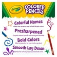thumbnail image 2 of 12 PACK BUNDLE OF 24 COUNT CRAYOLA COLOURED PENCILS, 2 of 4