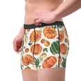 thumbnail image 2 of Vsdgher Autumn Pumpkins Pattern Men's Boxer Brief Underwear,Soft Funny Underwear for Men-Medium, 2 of 5