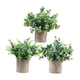 thumbnail image 4 of 3 Piezas de Plantas Falsas en Maceta Macarena Estilo E 8 cm x 8 cm, 4 of 8