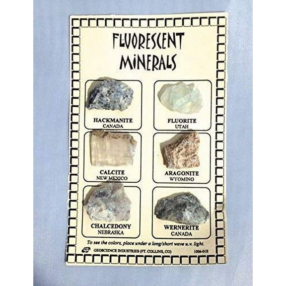 Fluorescent Mineral ID Chart with 6 samples from DINOSAURS ROCK®