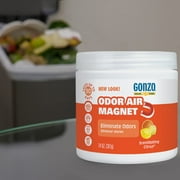 Gonzo Natural Magic Natural Magic Air Purifying Gel, Odor Eliminator For Cars, Closets, Bathrooms And Pet Areas, Captures And Eliminates Odors 14 Ounce - Citric Scent