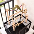 thumbnail image 6 of Bird Playground Top Cage Play Stand for Parrots, Hanging Chewing Toys with Wooden Perches Ladder, Gym Playpen for Conure Parakeets Budgie Cockatiels Lovebirds Cage Accessories 14Inch, 6 of 6