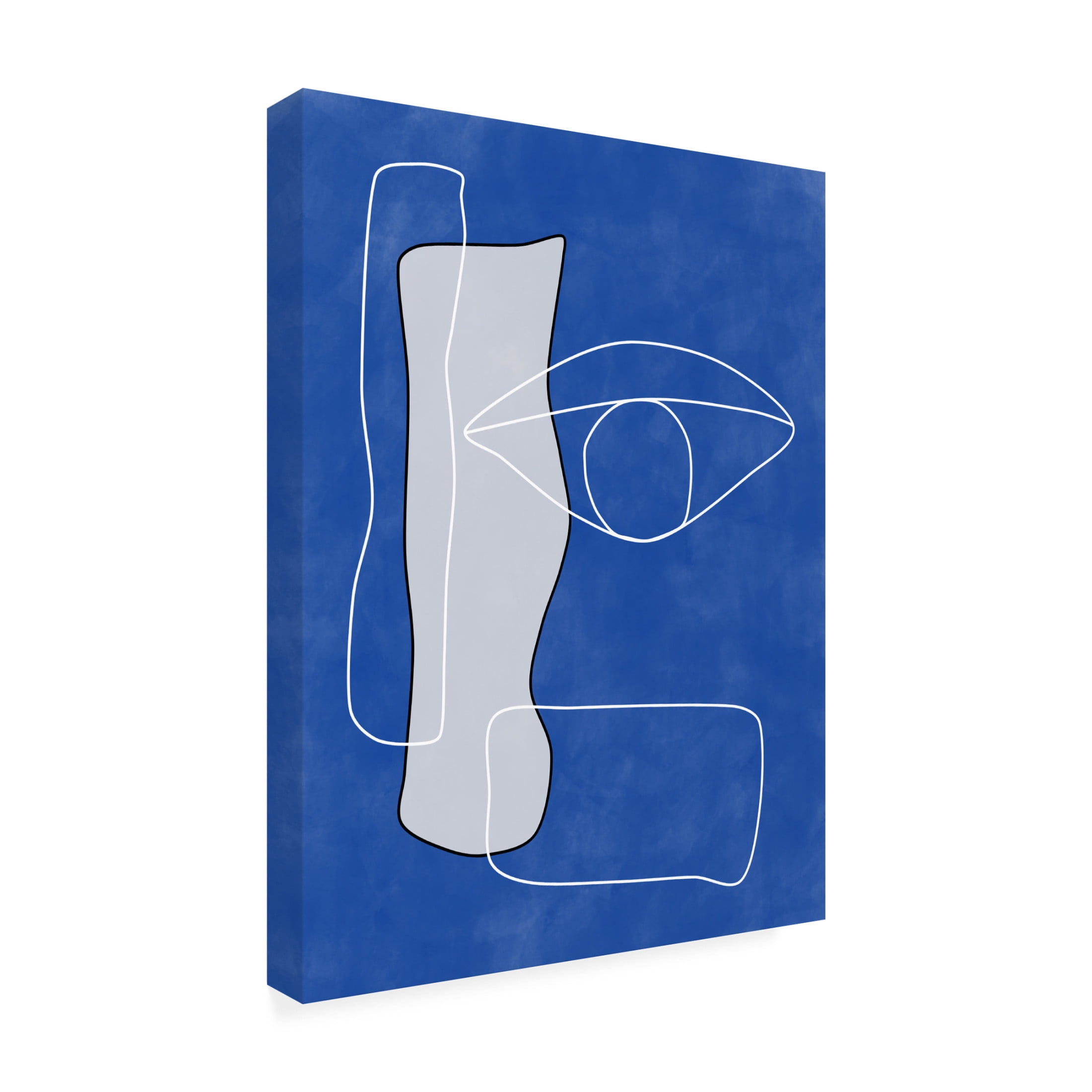 Trademark Fine Art Elena Ristova  Indigo23 Canvas Wall Art