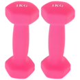 thumbnail image 1 of Pink Cast Iron Dumbbells for Fitness Hand Weights 1Pair for Shoulder Work, 1 of 5
