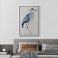 thumbnail image 2 of PixonSign Framed Canvas Print Wall Art Watercolor Pastel Blue Heron Bird Side Profile Animals Wilderness Illustrations Modern Art Antique Vintage Farmhouse Relax/Calm/Cozy - 16"x24" White, 2 of 5