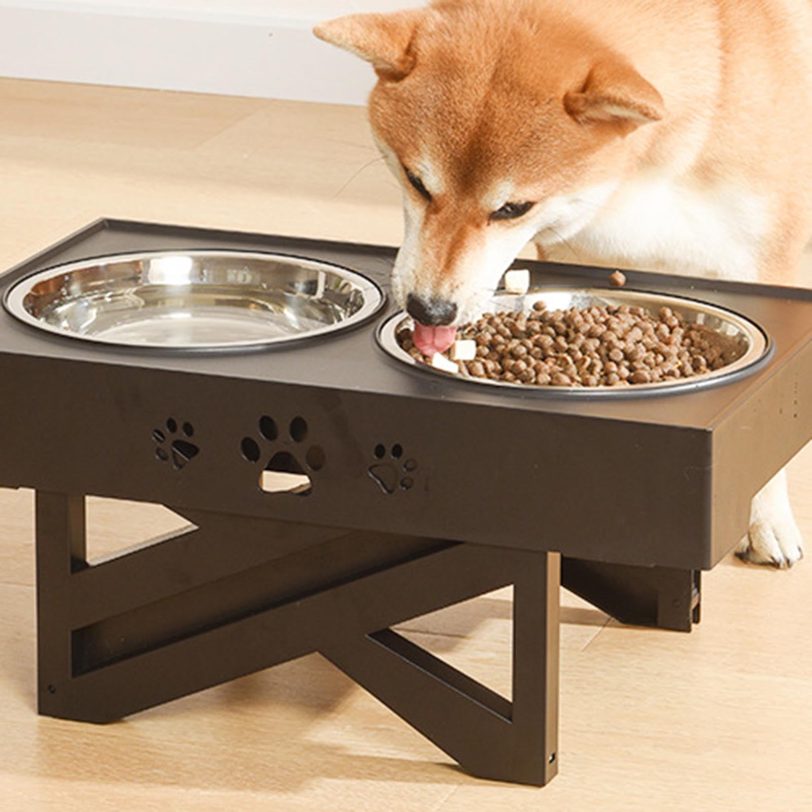 Elevated Dog Bowls Stand with 2 Thick 42oz Stainless Steel Dog Food Bowls, For Small Medium and Large Dogs, Cats