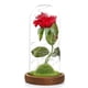 thumbnail image 1 of Lámpara De Rosa De Simulación, Rosa Inmortal, La Bella Y La Bestia, Linterna De Rosa, Flor Eterna, Cubierta De Cristal, Decoración, Decoración De Luz Rosa Yuarrent HA026722-01, 1 of 5