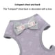 thumbnail image 3 of Correa de pecho para perro, cadena para perro pequeño, cadena para perro con oso de peluche, cuerda para perro que camina MFZFUKR BST3004756-2, 3 of 5