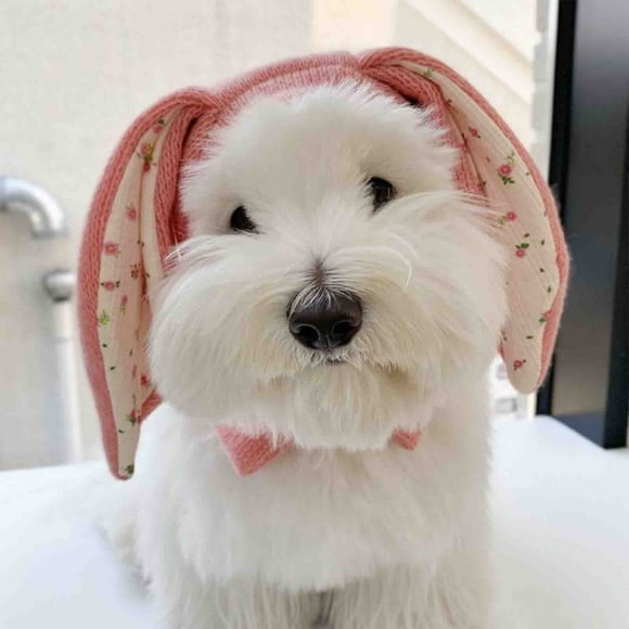 Adornos de Pascua, regalos de Pascua, gorro de punto con orejas de conejo, capucha de Pascua, decoración para gatos y perros, gorro de poliéster.