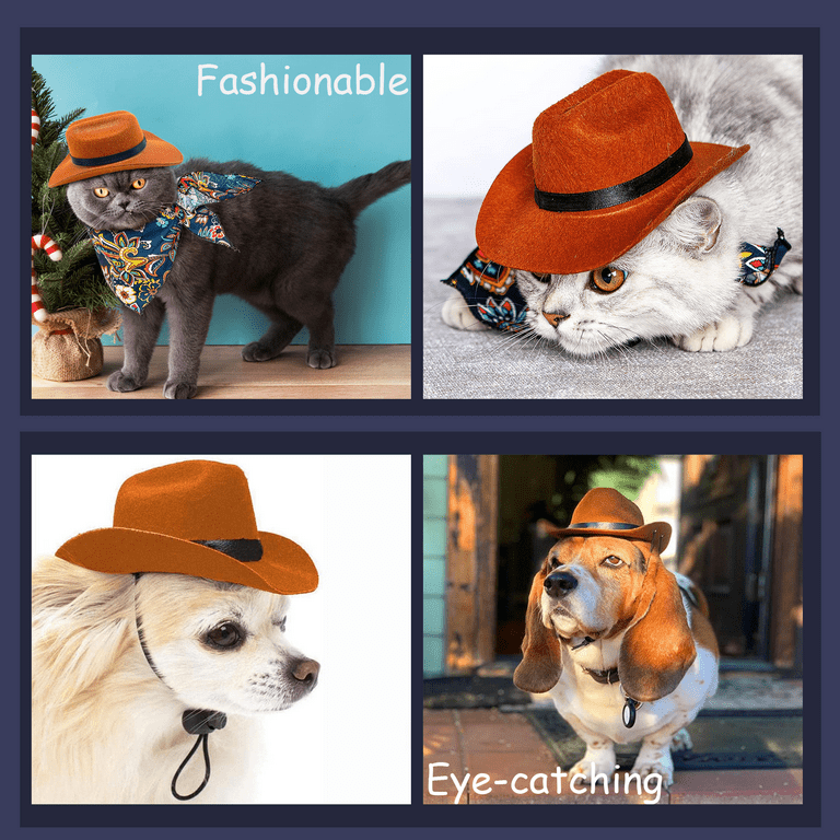 Large dog cowboy costume cheap