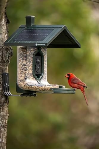 Feathersnap Smart Bird Feeder with AI Identification & HD Camera  Solar-Powered Wi-Fi Feeder Sends Photos & Videos to Your Phone  Includes Pole Mount, Bird Seed, 32GB SD Card, & Cleaning Cloth