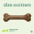 thumbnail image 5 of Benebone Essentials Bone Bacon M/L, 5 of 6