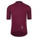 thumbnail image 3 of RISESBIK PRO - Maillot de ciclismo para entrenamiento, corte de carrera, tejido ligero de alta calidad, ropa para bicicleta, mangas cortas, camiseta de ciclismo, 3 of 5