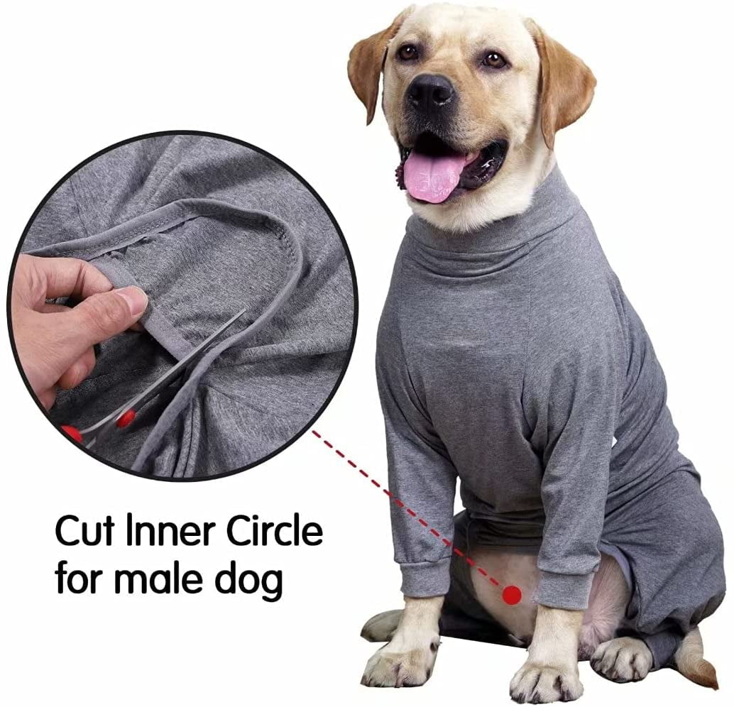 dog surgery bodysuit