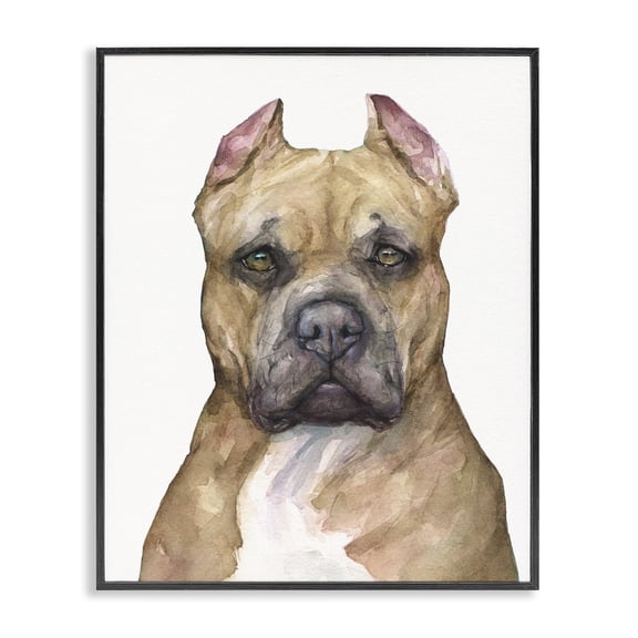 Stupell Industries Transitional Pit Bull Dog Pet Animal Watercolor Black Framed Giclee Art, 16 x 20, by George Dyachenko