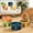 Multicolor, variant on Spill Proof Pet Bowl Set of 4, Elevated Tilted Dog Cat Bowl with Wide Mouth & Non-Slip Base, Ergonomic Design for Neck Comfort, Easy Clean BPA-Free Plastic