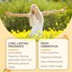 thumbnail image 3 of Roxelis Osmanthus Gilt Perfume Lasting Light Fragrance Natural Fresh Moisture Charm Fragrance Fragrance Fine Mist Osmanthus Perfume Spray, 3 of 5