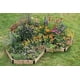 thumbnail image 3 of Kit de jardín para mariposas monarca - Cría de mariposas monarca, 3 of 3