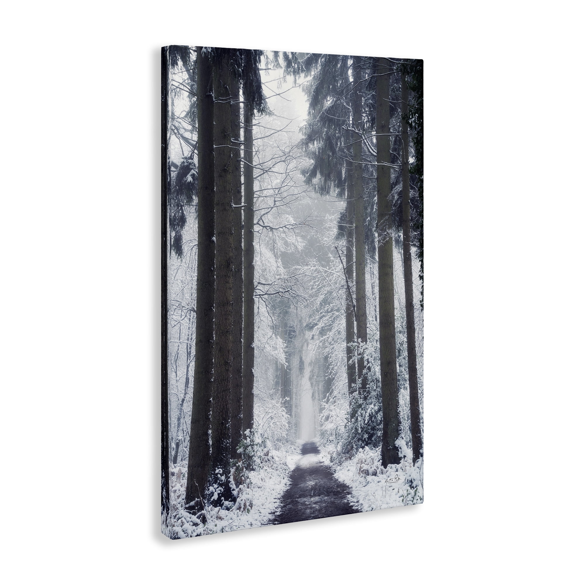 Stupell Industries Winter Fir Path Landscape Photography Gallery Wrapped Canvas Art Print Wall Art, 30 x 45