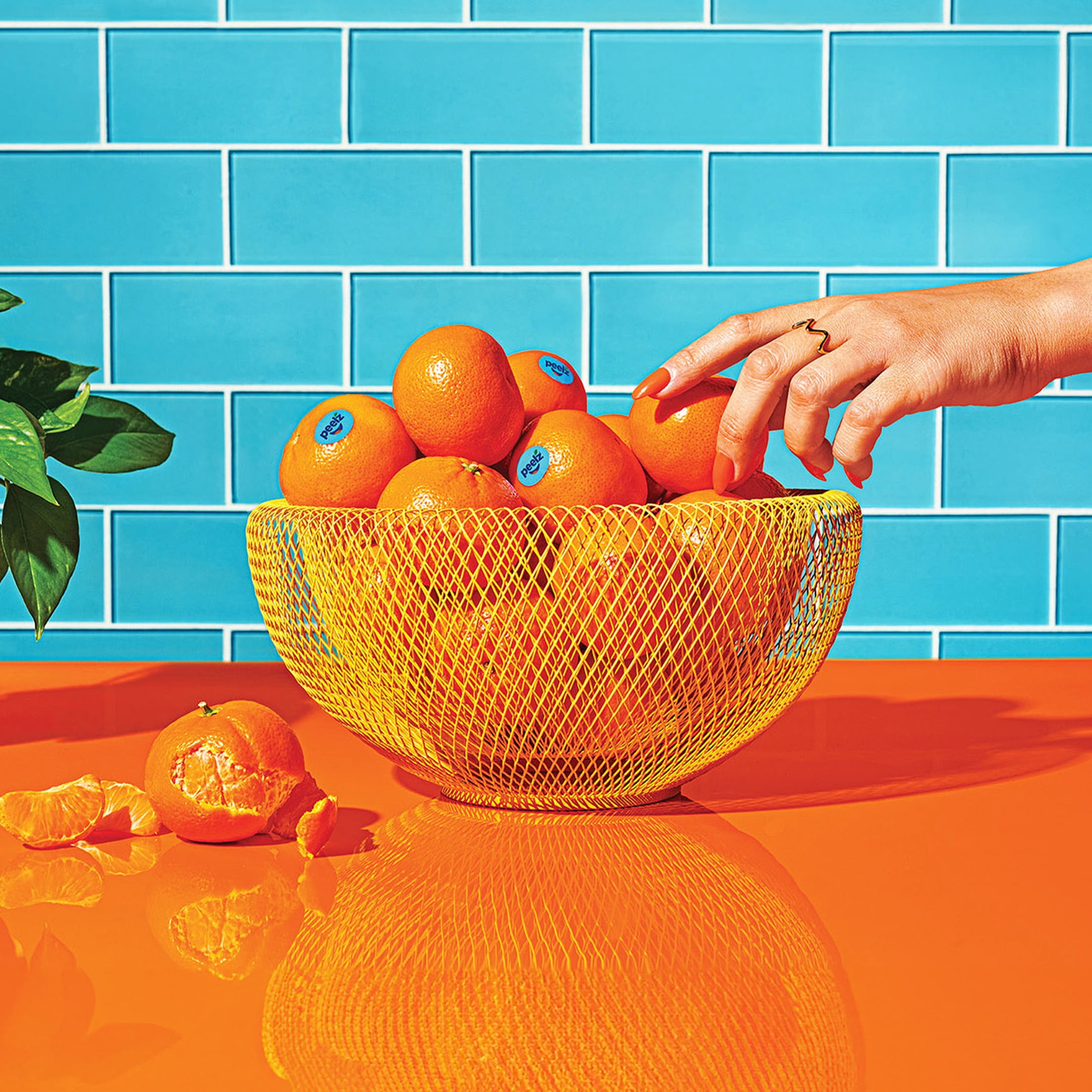 Fresh Peelz California Mandarin Oranges, 5 lb Bag