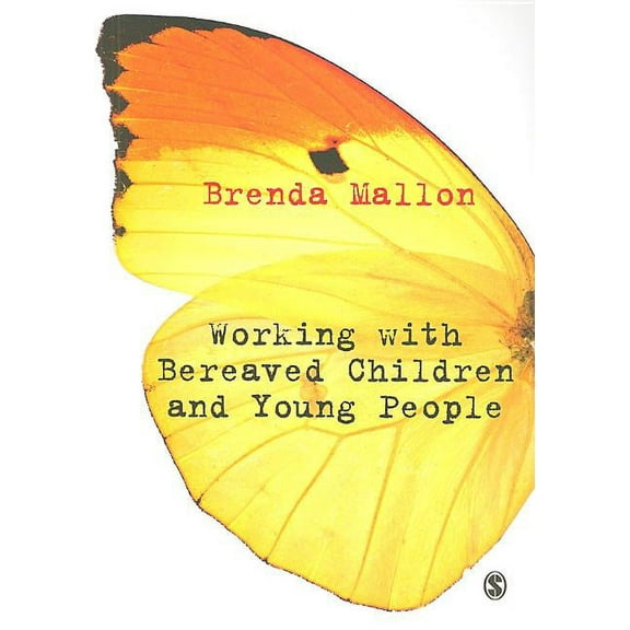 Working with Bereaved Children and Young People, (Paperback)
