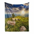 thumbnail image 1 of Mountain Soft Flannel Fleece Blanket, Small Tree Behind Boulders Hillside Grass Greenery Meadow Scenic Dramatic, Cozy Plush for Indoor and Outdoor Use, 50" x 70", Green Yellow Blue, by Ambesonne, 1 of 6