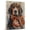 American English Coonhound, variant on Tibetan Spaniel Dog Canvas Violin Stretched Canvas Size 8x12 – Funny Tibetan Spaniel Dog Canvas Wall Decor, Funny Dog Wall Art for Violin Room