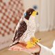 thumbnail image 1 of Eagle Doll Cuddly Juguete Cuerpo de abrazaderas Decoración del hogar División Animal Figuras Figuras Figuras para adolescentes Familia Adultos, 1 of 10
