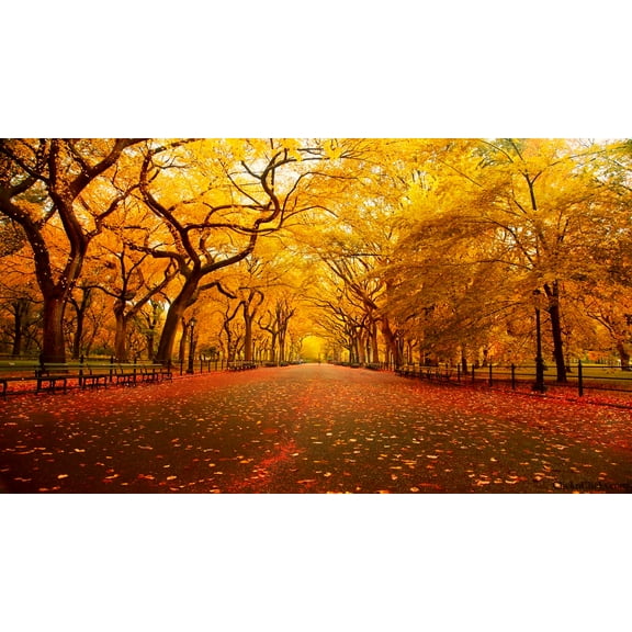 Central Park Wall Art New York City Manhattan Skyline Picture Empire State Scene Wrapped Canvas Art For Bedroom Livingroom Decoration Print Ready to Hang