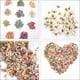 thumbnail image 2 of 100 piezas de mini flores falsas de imitación de margaritas, materiales para horquillas de bricolaje, 2 of 8