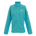 thumbnail image 1 of Regatta Womens Highton IV Full Zip Fleece Jacket, 1 of 6