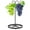 Double Hook Style, variant on Evjurcn Banana Rack Stable Banana Holder with Hook Rust-Proof Metal Banana Hanger Multifunctional Banana Tree Stand for Fruit Micro Landscape Decorations Key Cookware