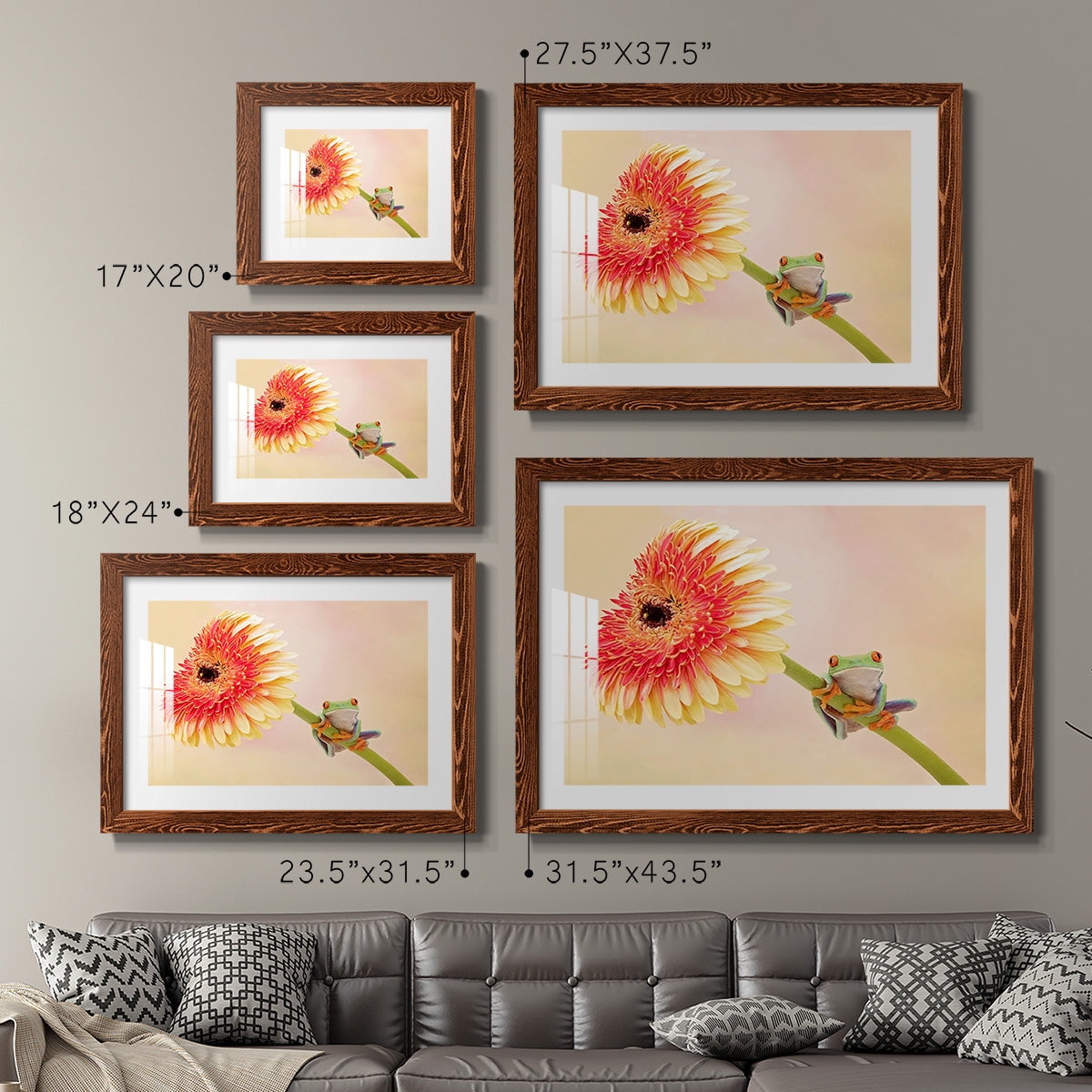 Hanging On IX-Premium Framed Print - Ready to Hang