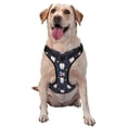 thumbnail image 1 of KLL Llamas 1 Pattern Dog Harness - Lightweight,Soft,Adjustable Small Harness and Leash Set-Large, 1 of 6