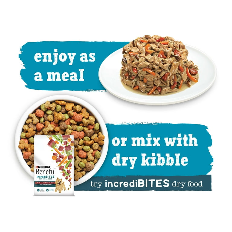 Beneful salmon dog food walmart top