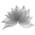 thumbnail image 1 of 100 Pcs Hojas Esqueléticas Grises, 2"- 3" Hojas Prensadas de Árbol de Caucho para Álbumes de Fotos y Manualidades, 1 of 7