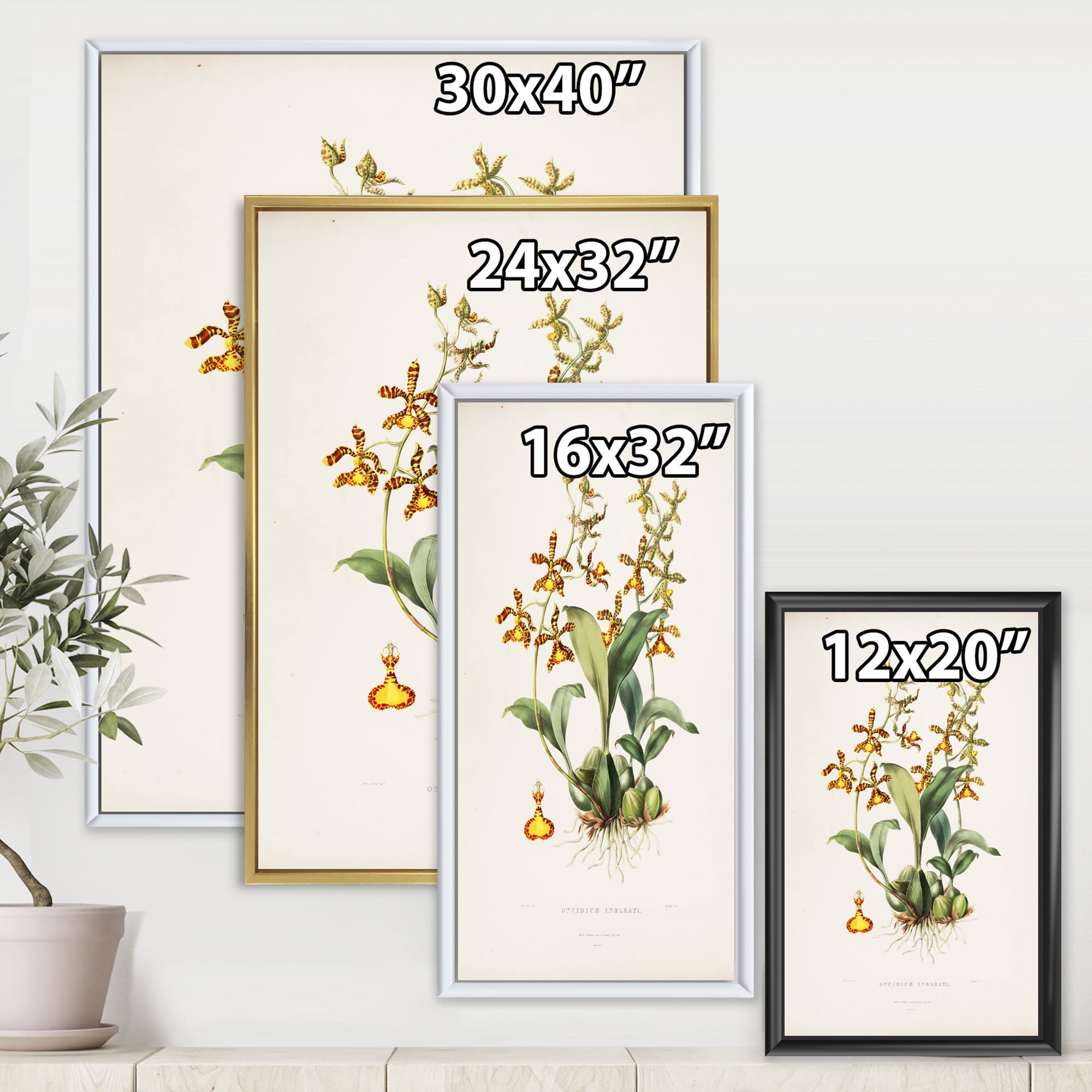 Designart 'Ancient Flower I' Traditional Framed Canvas Wall Art Print