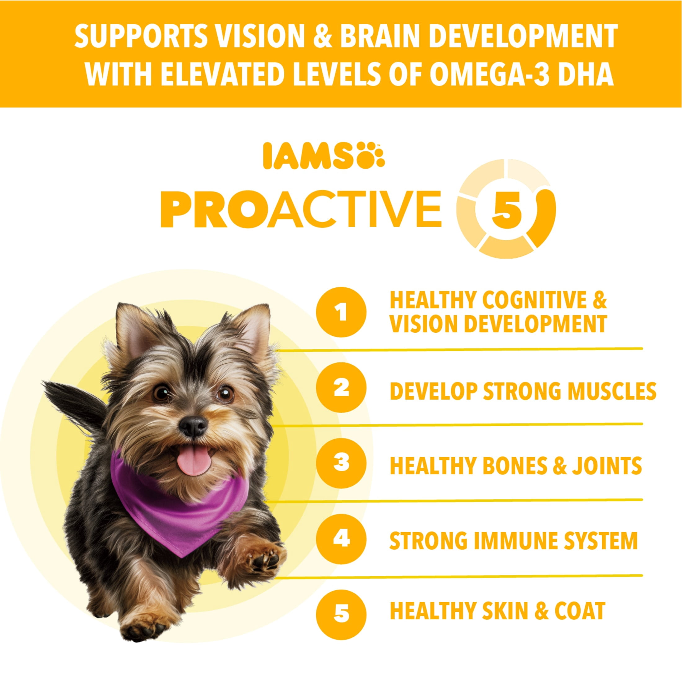 IAMS Proactive Health Healthy Puppy Chicken Recipe Small Breed Dry Puppy Food, (4) 5 Lb Bags