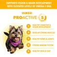 thumbnail image 4 of IAMS Proactive Health Healthy Puppy Chicken Recipe Small Breed Dry Puppy Food, (4) 5 Lb Bags, 4 of 11