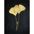 thumbnail image 2 of Great Art Now Midas Ginkgo 1 by Albert Koetsier, Framed Wall Art, 19.25W x 23.25H, 2 of 2