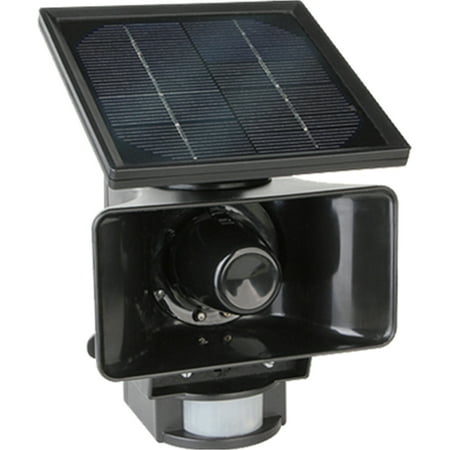 P3 Bird Chaser Sol-Mate