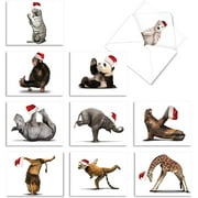 Assortiment de 10 cartes de Noël 'Yuletide Zoo Yoga' avec enveloppes (4 x 5,12 pouces), cartes de vœux vierges pour les occasions saisonnières, ensemble de papeterie avec animaux de zoo amusants faisant du yoga dans des chapeaux de Père Noël M6547XSB
