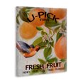 thumbnail image 2 of Stupell Industries Cottage U-Pick Fresh Fruit Farm Canvas Art, 24 x 30, by Diannart, 2 of 8